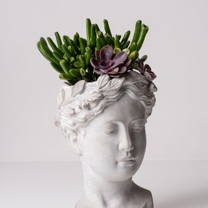 Lady Head Planter, Lady Head Pot, Head Planter, Head Pot, Classic Beauty, Unusual Planter, Cement Planter, Antiqued Planter, Lady Vase
