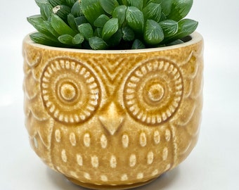 Glazed, 3.5 Inch Yellow Owl Pot ~