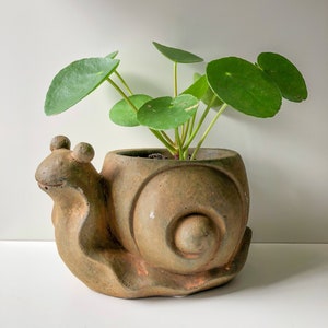 Snail Pot, Snail Planter, Garden Snail, Cement Pot, Cement Planter, Garden Snail, Cement Snail Pot, Rustic Snail