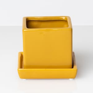 May include: A square ceramic planter in a mustard yellow color with a matching saucer. The planter has a smooth, glossy finish.