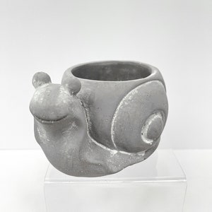 May include: A gray concrete snail planter with a small pot on its back. The snail is sitting on a clear acrylic stand.