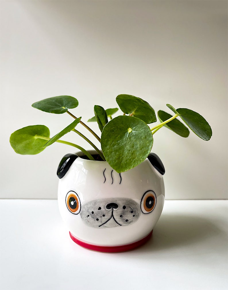Pug Max 64% OFF Planter with low-pricing Your House Plant Choice of