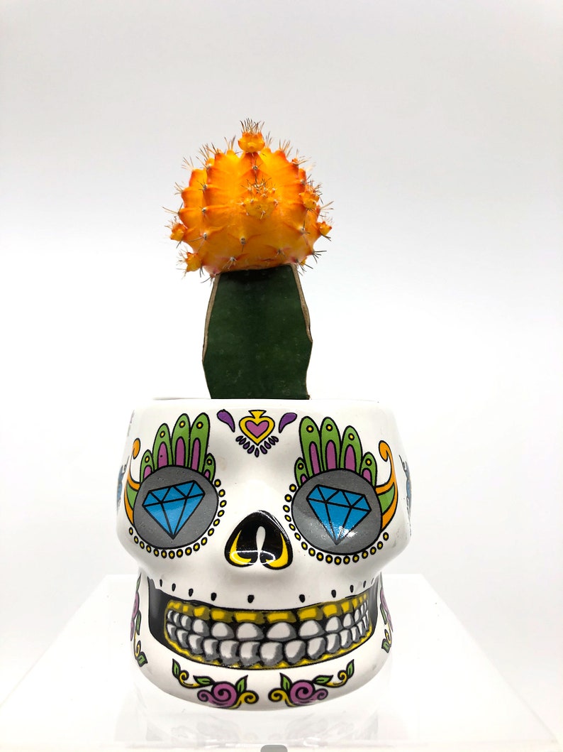 Halloween Pot, Skull Pot, Halloween Planter, Head Pot, Sugar Skull Pot, Goth Pot, Day of the Dead, Floral Skull, Zombies, Halloween Decor, image 6