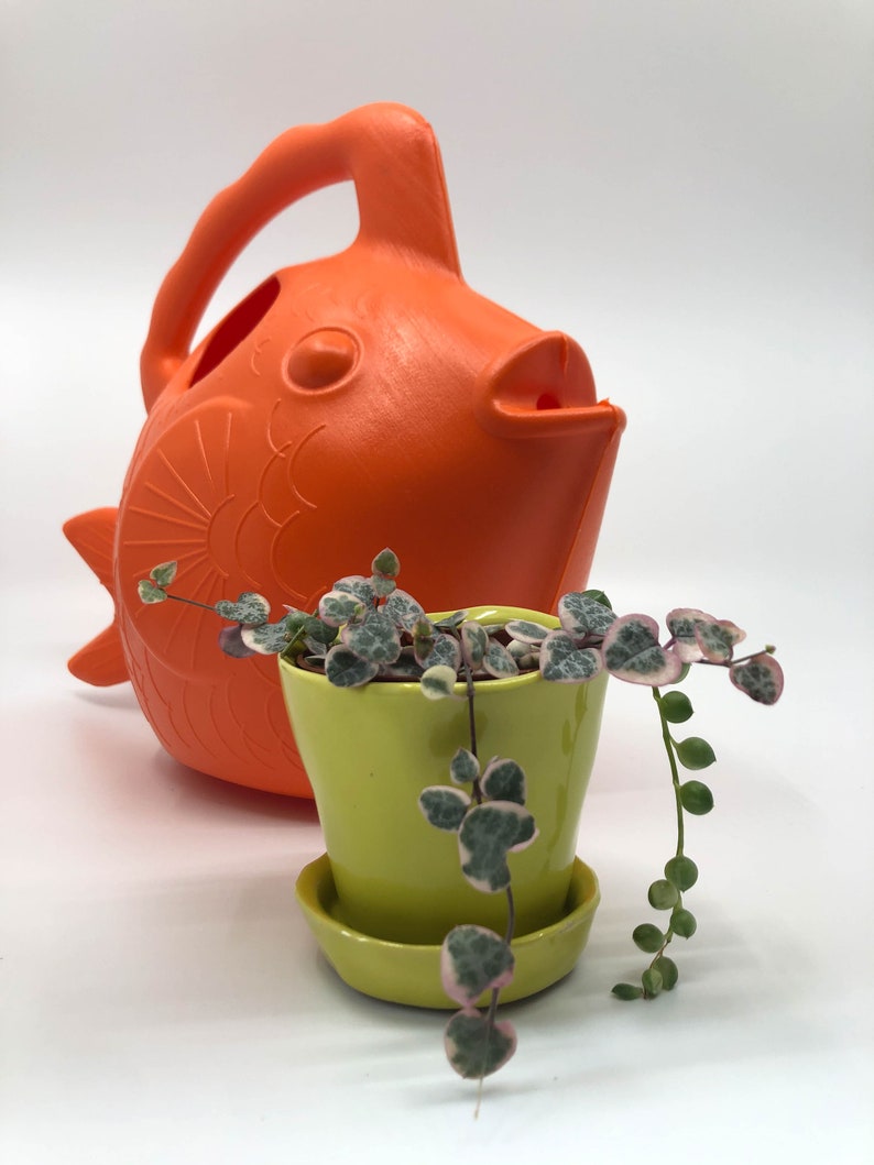Goldfish Watering Can Fish Watering Can Cute Watering Can Etsy