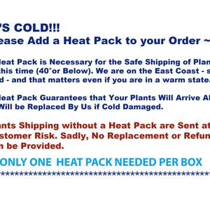 Pu&ograve; includere: Testo su sfondo bianco: "IT'S COLD!!! Please Add a Heat Pack to your Order." Il testo spiega la necessit&agrave; di utilizzare pacchi termici per la spedizione sicura delle piante in caso di freddo, con un avvertimento.