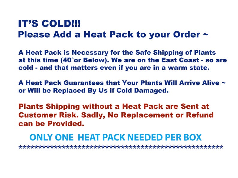 Pu&ograve; includere: Testo su sfondo bianco: "IT'S COLD!!! Please Add a Heat Pack to your Order." Il testo spiega la necessit&agrave; di utilizzare pacchi termici per la spedizione sicura delle piante in caso di freddo, con un avvertimento.
