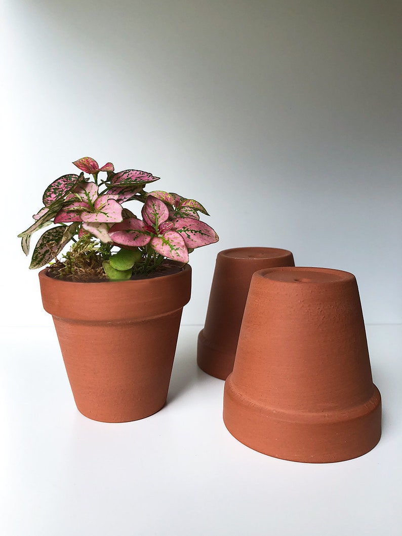 Set of 3 Mini Terracotta Pots 2.5 Size Planter Pot Etsy