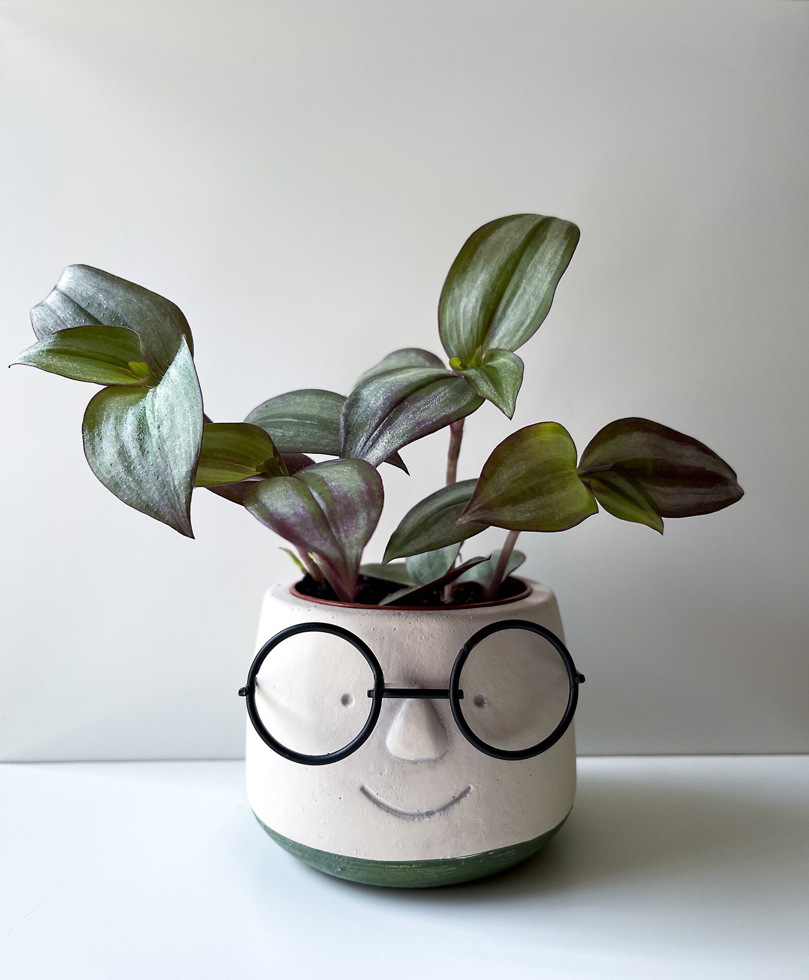 Head Planter With Eye Glasses Face Pot with Your Choice of Etsy