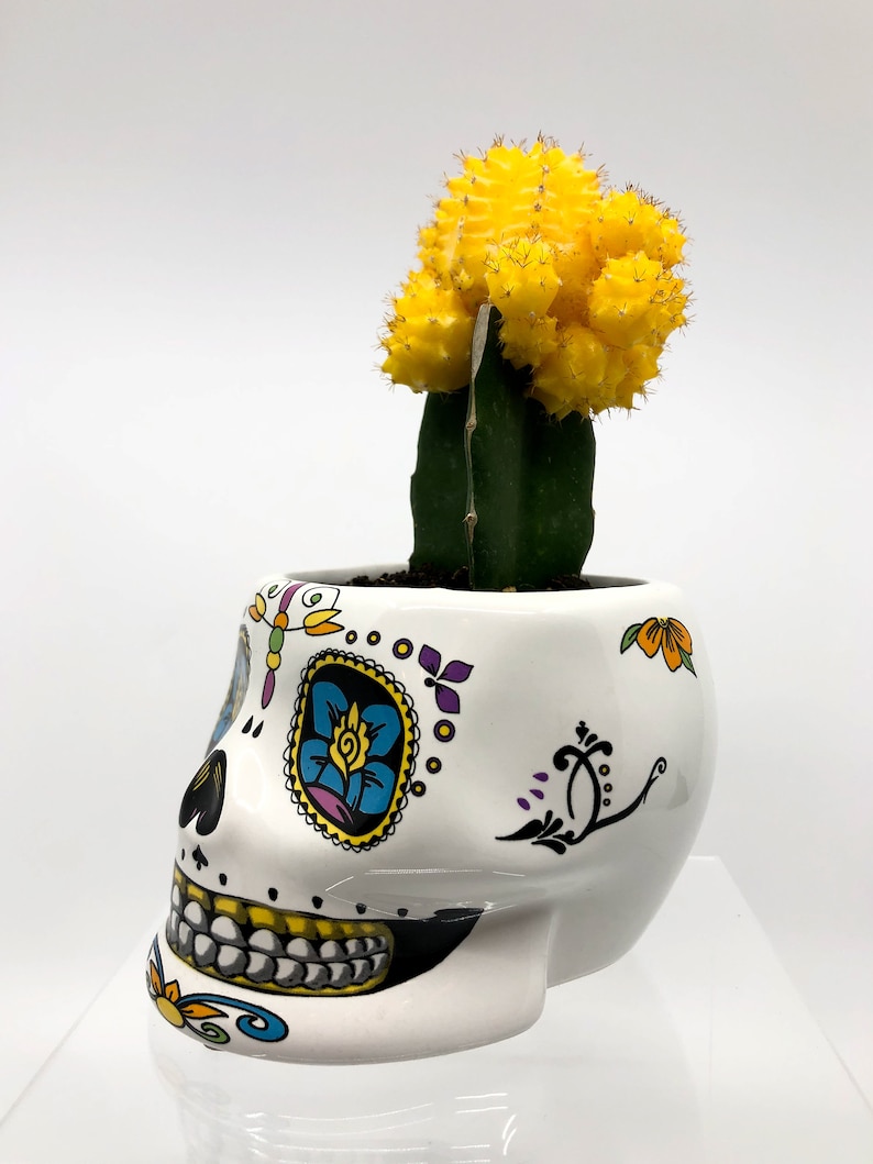 Halloween Pot, Skull Pot, Halloween Planter, Head Pot, Sugar Skull Pot, Goth Pot, Day of the Dead, Floral Skull, Zombies, Halloween Decor, image 4