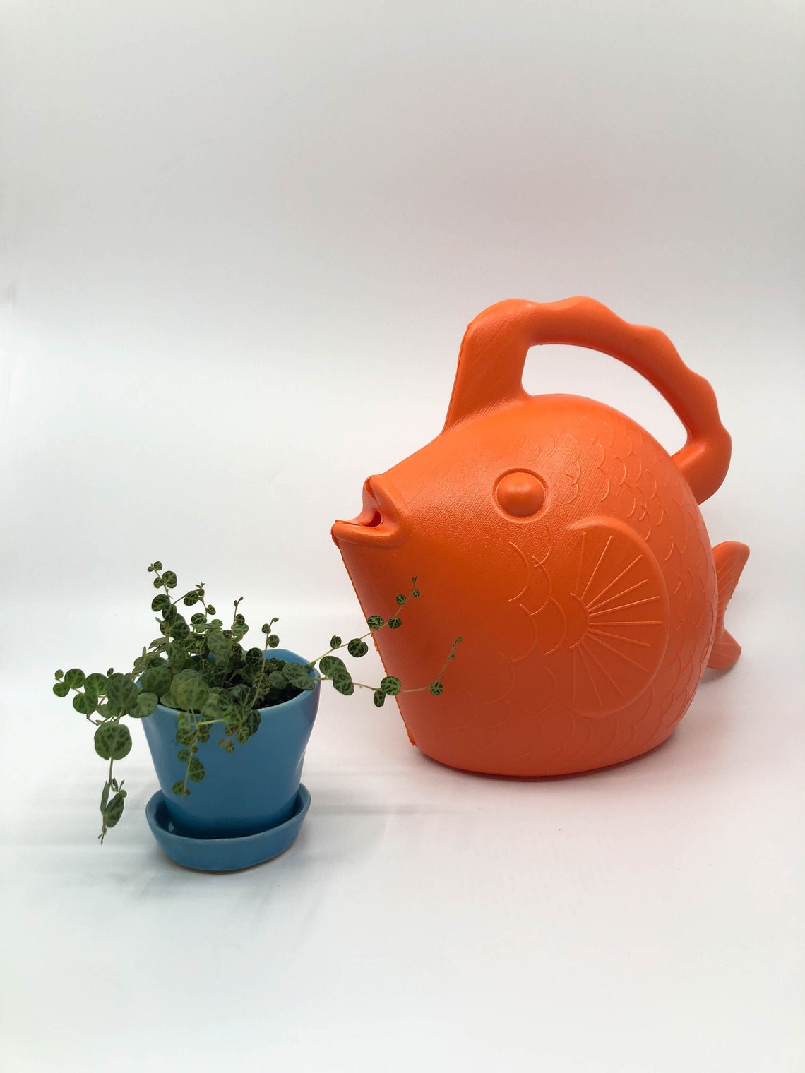 Goldfish Watering Can Fish Watering Can Cute Watering Can Etsy