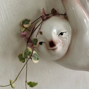 Hanging Sloth Planter, Succulent Planter, Sloth Pot, Sloth, Hanging Planter, Hanging Pot, Hanging Basket, Cute Planter, Animal Planter image 2