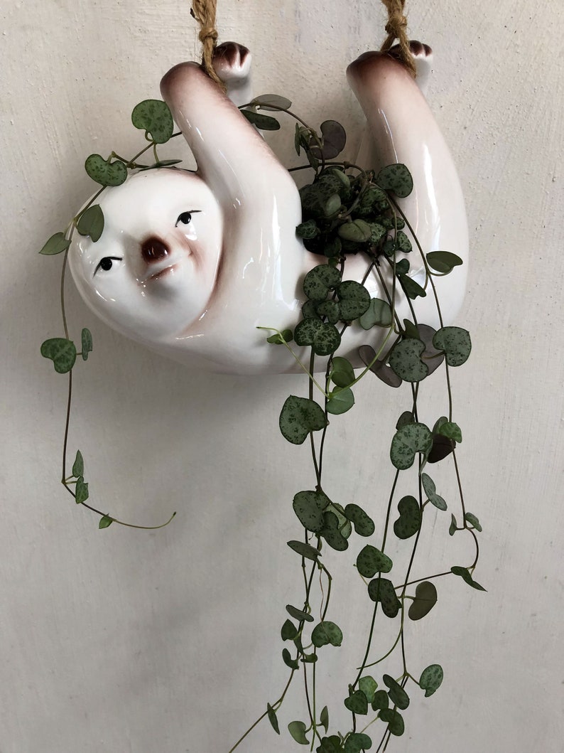 Hanging Sloth Planter, Succulent Planter, Sloth Pot, Sloth, Hanging Planter, Hanging Pot, Hanging Basket, Cute Planter, Animal Planter image 10