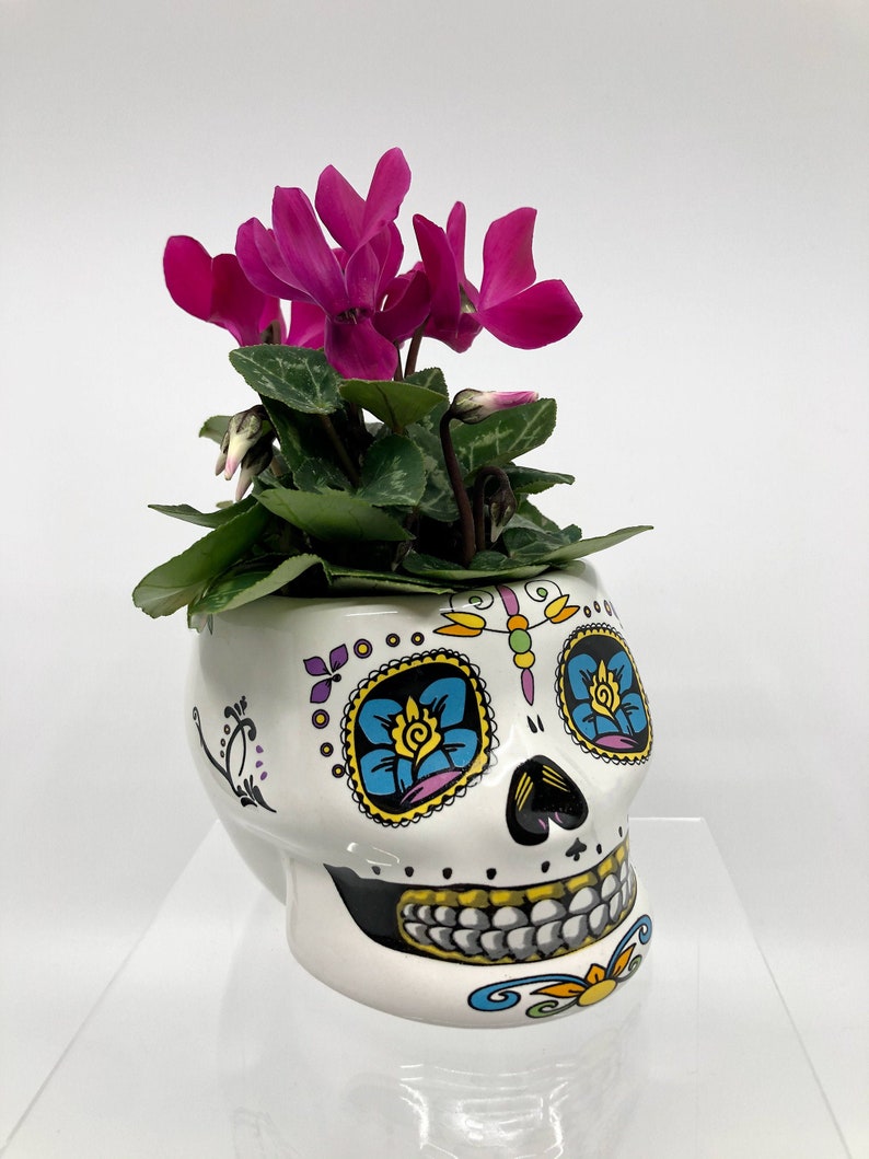 Halloween Pot, Skull Pot, Halloween Planter, Head Pot, Sugar Skull Pot, Goth Pot, Day of the Dead, Floral Skull, Zombies, Halloween Decor, image 2