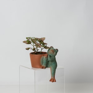 Cute Shelf Sitting Frog Pot Dangles a  Leg ~ Right Side