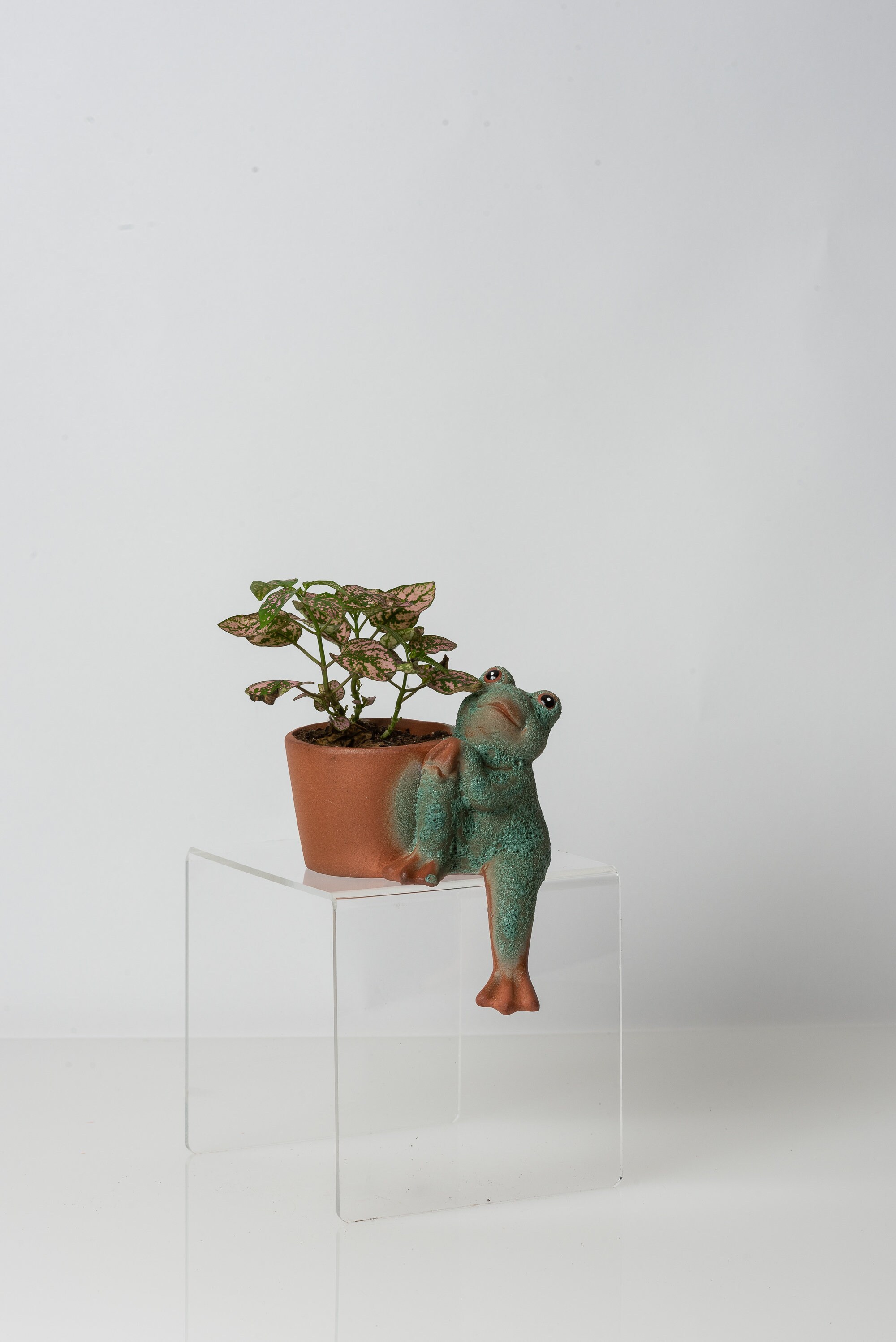 Étagère Mignonne Sitting