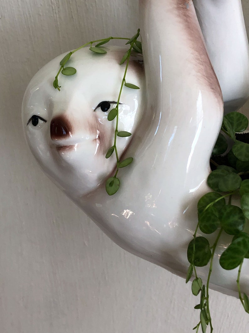 Hanging Sloth Planter, Succulent Planter, Sloth Pot, Sloth, Hanging Planter, Hanging Pot, Hanging Basket, Cute Planter, Animal Planter image 5