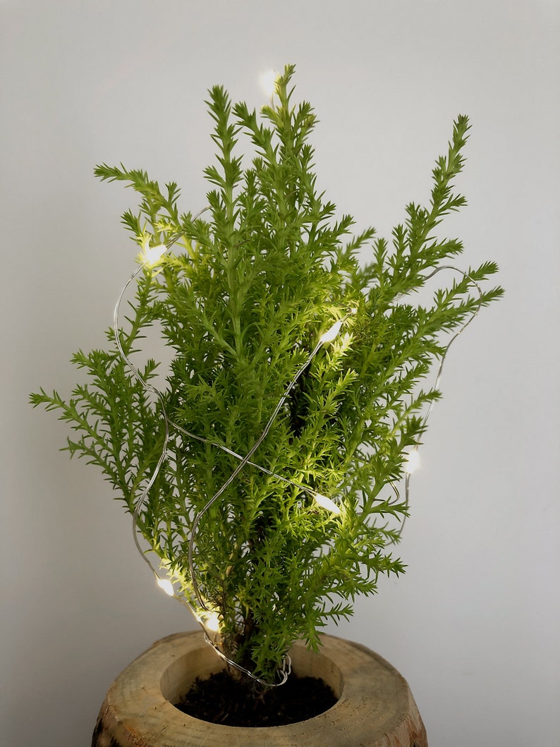 Copper Wire Lights Fairy Lights Mini Lights Christmas Etsy