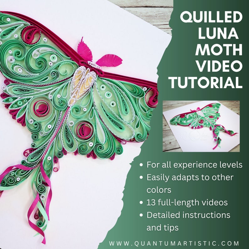 Quilled Luna Moth Video Tutorial Quilling Pattern image 1