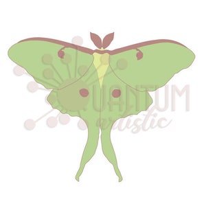 Quilled Luna Moth Video Tutorial Quilling Pattern image 4