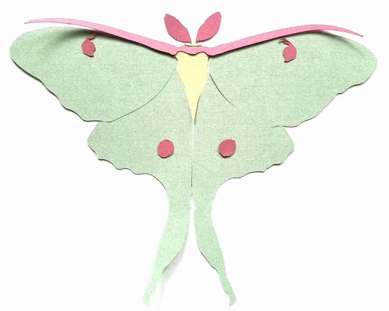 Quilled Luna Moth Video Tutorial Quilling Pattern image 7