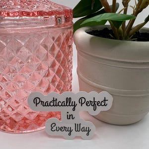 Practically Perfect in Every Way - waterproof, perfect for water bottles, laptops