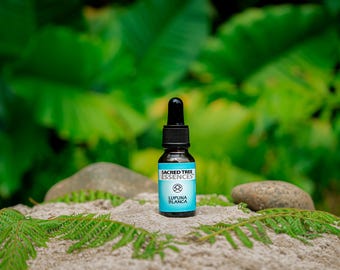 LUPUNA BLANCA ESSENCE - amazoński szamański święty mistrzowski środek roślinny - ręcznie robiony przez szamana w peruwiańskiej dżungli.