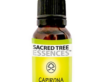 CAPIRONA ESSENCE - Amazonian Shamanic Sacred master plant remedy - Handmade by shaman in the Peruvian Jungle.