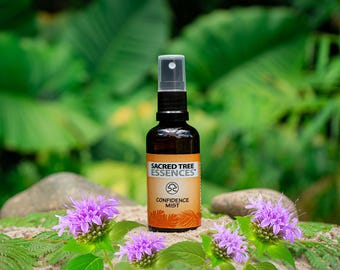CONFIDENCE MIST Shamanic Aura & Space Spray to synergia świętych amazońskich roślin mistrzowskich, olejków eterycznych i icaros, pieśni uzdrawiających.
