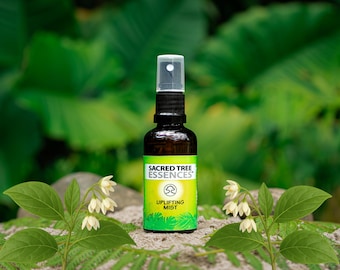 UPLIFTING MIST Shamanic Aura & Space Spray to synergia świętych amazońskich roślin mistrzowskich, olejków eterycznych i icaros, pieśni uzdrawiających.