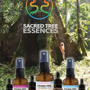 TORTUGA ESSENCE Amazonian Shamanic Sacred master plant remedy Handmade by a Shaman in the Peruvian Jungle. image 6