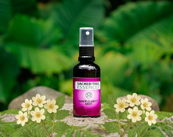 INNER CLARIITY MIST Shamanic Aura & Space Spray to synergia świętych amazońskich roślin mistrzowskich, olejków eterycznych i icaros, pieśni uzdrawiających.