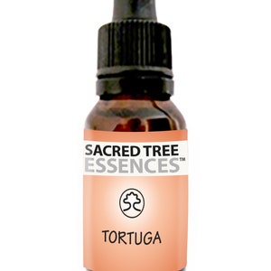 TORTUGA ESSENCE Amazonian Shamanic Sacred master plant remedy Handmade by a Shaman in the Peruvian Jungle. image 1