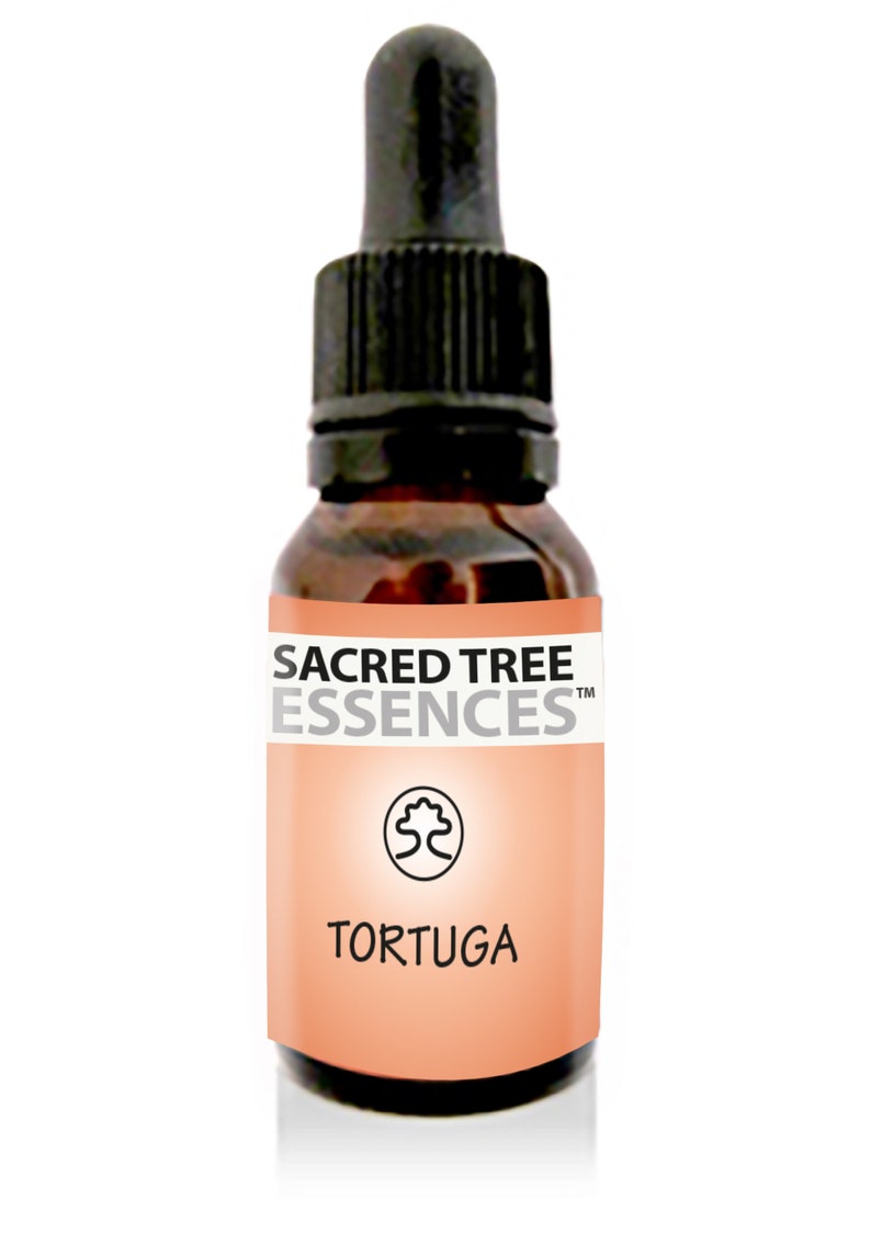 TORTUGA ESSENCE Amazonian Shamanic Sacred master plant remedy Handmade by a Shaman in the Peruvian Jungle. image 1