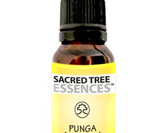 PUNGA AMARILLA ESSENCE - Amazonian Shamanic Sacred master plant remedy - Handmade by a Shaman in the Peruvian Jungle.