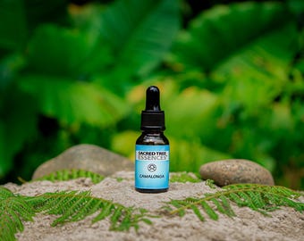 CAMALONGA ESSENCE - Shamanic Sacred master plant remedy - Handmade by a Shaman in the Peruvian Jungle.