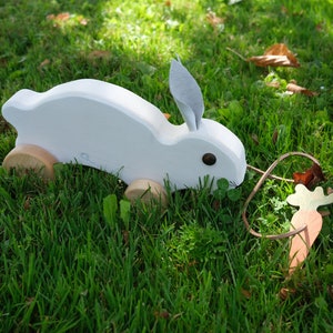 Hoopy The Rabbit: The Ideal Playmate for Toddlers zdjęcie 1