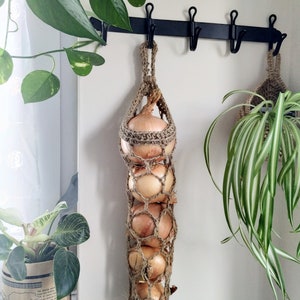 May include: A brown crocheted onion hanging bag with six brown onions hanging inside. The bag is hanging from a black metal rack with hooks. There are two potted plants in the background.