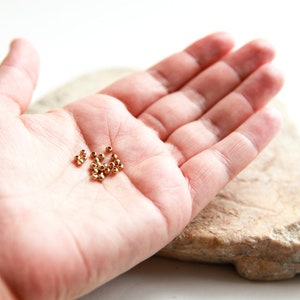 May include: A small pile of gold-coloured metal beads in the palm of a hand.