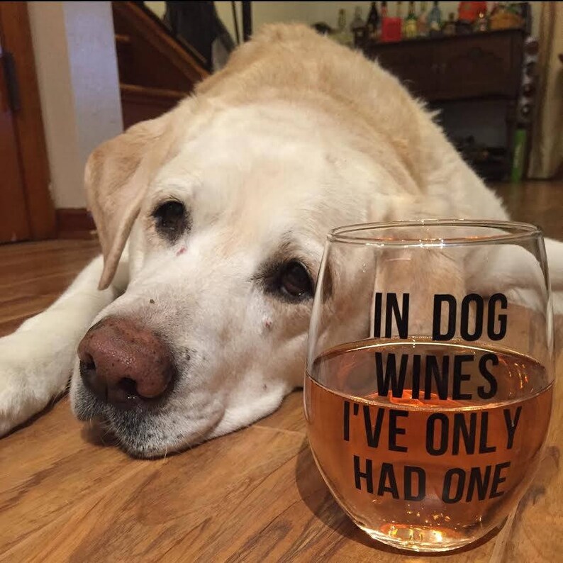 In Dog Wines I've Only Had One Dog Themed Stemless Wine Etsy