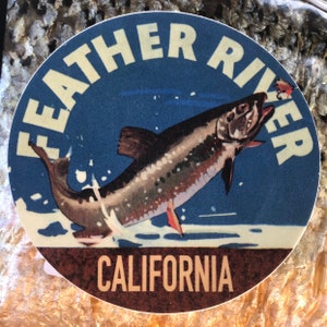 May include: A vintage-style sticker featuring a salmon jumping out of the water. The sticker is blue, white, and brown with the text "FEATHER RIVER CALIFORNIA".