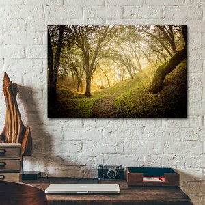 Oak Woodland Sunrise II (Fine Art Photography) - by photographer Sarah Anne Bettelheim [12x18 inch or 16x20 inch]