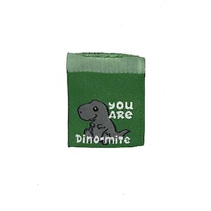 May include: Green fabric patch with a cartoon dinosaur illustration and the words "YOU ARE Dino-mite" in white. The dinosaur is gray and smiling. The top of the patch is a lighter green.