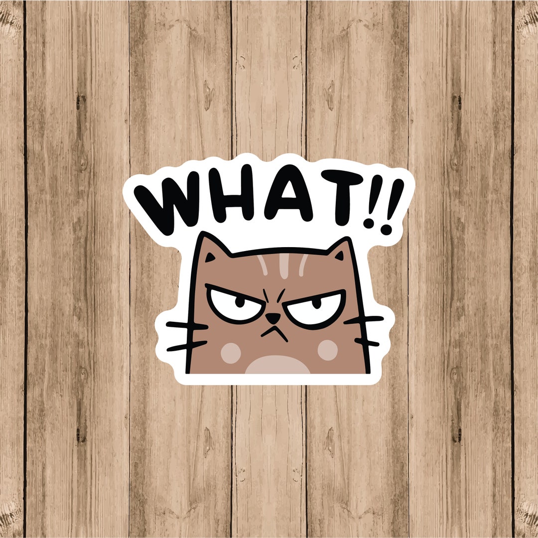 Angry Cat 