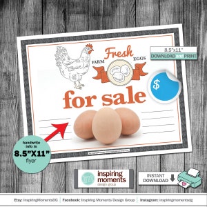 Eggs For Sale Flyer, Template Design, Farm Fresh Eggs, Organic Healthy Brown Eggs, Chickens, Farmers Market, Print, DIY Instant Download