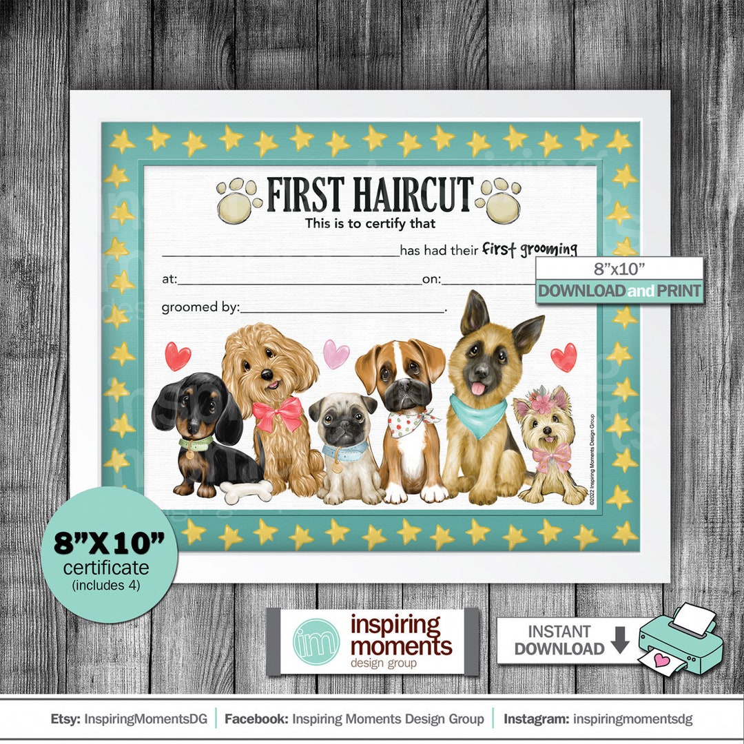 Dog Grooming First Haircut Certificate, Groomer, Pet Shop, Store