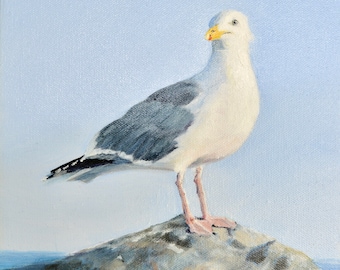 Seagull Standing on a rock frameable print