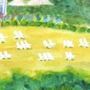Front lawn with white Adirondack chairs scattered across the lawn with white patio umbrellas in the back.