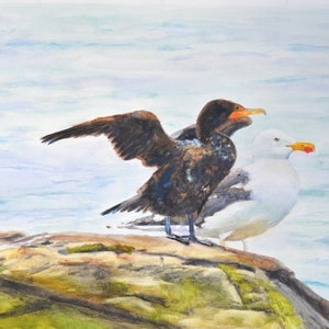 12x18 Seagull and Cormorant Drying Its Wings Original Watercolor Painting