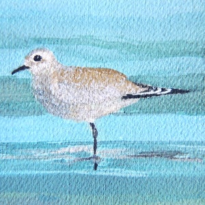 Sanderling Sandpiper Print of an original gouache and watercolor painting