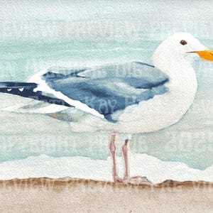 Standing Seagull hand signed frameable print